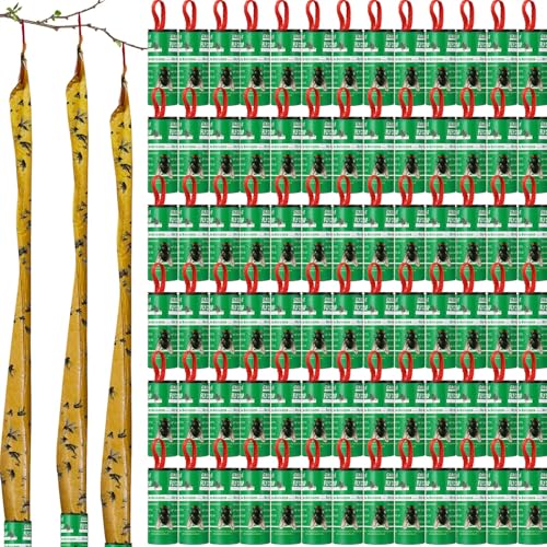 Qualirey 80 Pack Fly Strips Sticky Fly Trap Indoor Outdoor Hanging Ribbon Tape Paper Flying Insect Trap Gnat Killer Traps Catcher for Fruit Flies, Bug, Insect, Pest (Green) - color: Green