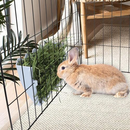 Hypeety Rabbit Hay Feeder Automatic Hay Rack for Guinea Pigs, Blue, 2pcs - color: Blue, size: 2pcs