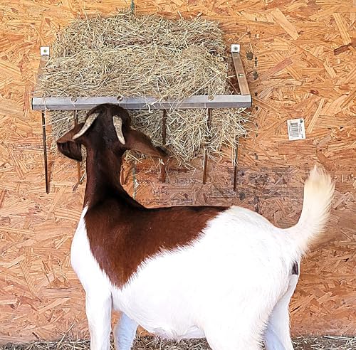 24 Inch Wall Mounted Sheep & Goat Two Flake Hay Feeder USA Texas Made Quality Aluminum