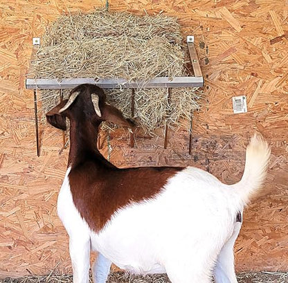 24 Inch Wall Mounted Sheep & Goat Two Flake Hay Feeder USA Texas Made Quality Aluminum