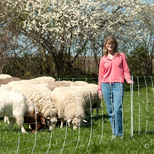 Premier 1 ElectroStop® Double Spike Fence – Sheep & Goats – 42"H x 164'L