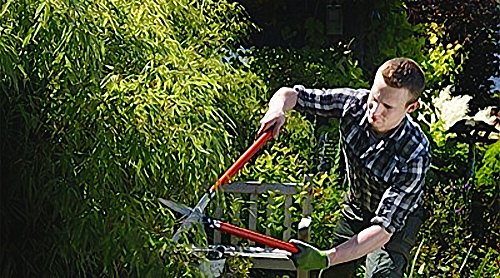 Berger vine leave shear 4440 with self-sharpening blades, hedge shear with damper, length 80 cm - size: 80x12x10 cm