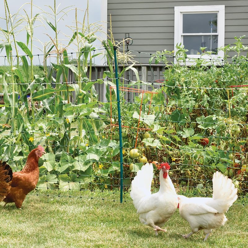 Premier 1 PoultryNet® Plus, Electric Fence for Chickens – 42"H x 100'L - style: Green/Black