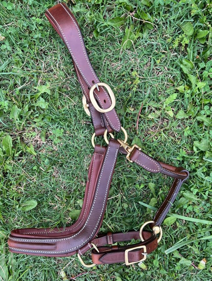 Leaders Padded Curved Leather Halter with Customized Engraved Name Plate Ergonomic Leather Halter for Horses - size: Cob Size Brown/White Stitch