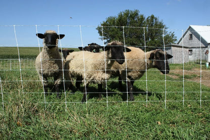 35" x 164' Premium Electric Sheep & Goat Netting w/Double Spike Fiberglass Posts (9/35/8) Pre-Assembled Electric Fence for Backyards, Homesteaders, Farms and Ranches