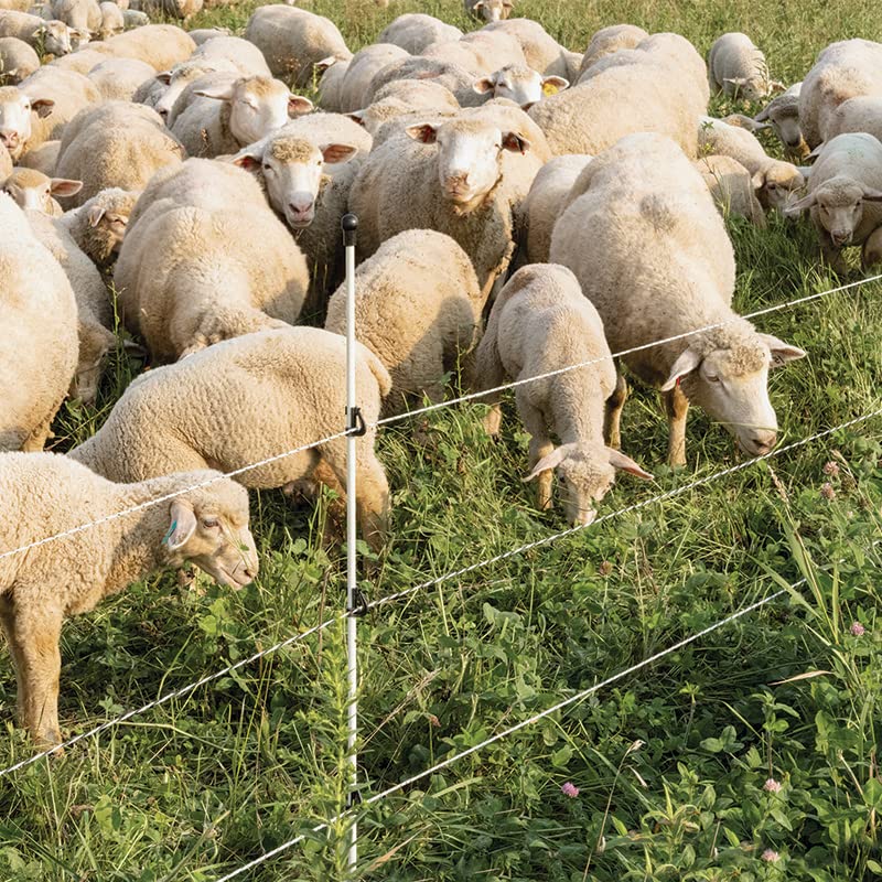 Premier 1 Step-in FiberRod Electric Fence Posts - 5 Pack (48" Tall) - style: 48" Tall
