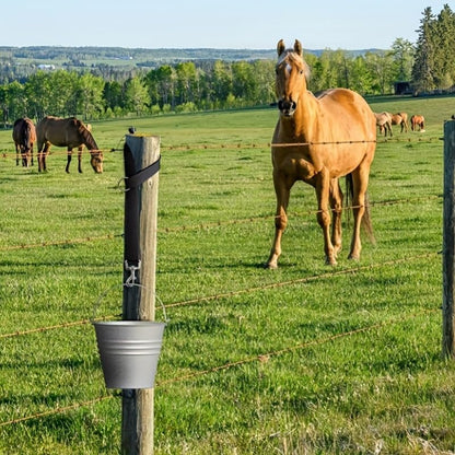 1 Pack Adjustable Nylon Horse Bucket Hanger Strap, Hay Net Water Feed Holder, Heavy Duty Barn Stall Hanging Strap