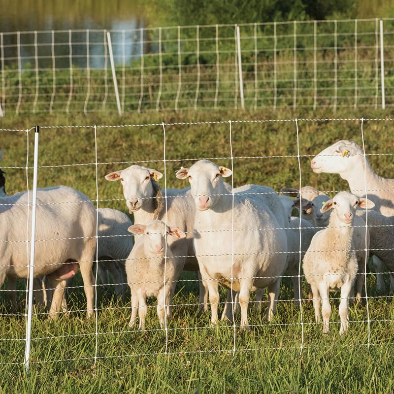 Premier 1 ElectroStop® Electric Fence for Sheep & Goats – 42"H x 100'L