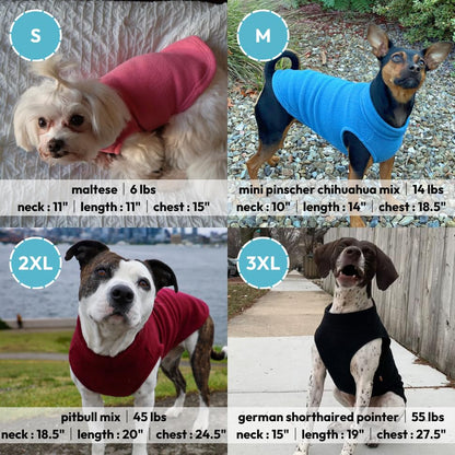 Gooby Stretch Fleece Vest Dog Sweater, Mint, Medium - color: Mint, size: Medium Length (11.5")