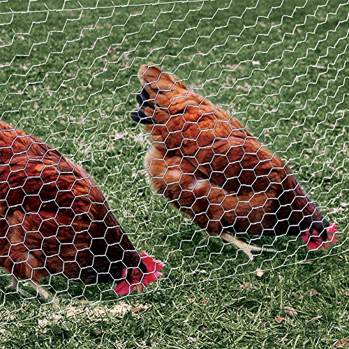YARDGARD 2 Inch Poultry Netting, Chicken Wire Fence, 20 Gauge Galvanized Steel, Rabbit Fencing, Bird Enclosures, Garden Protection and Plant Support, 24 Inches x 150 Feet - size: 24 Inches x 150 Feet