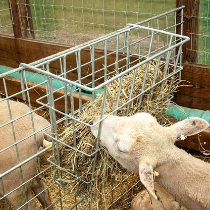 Premier 1 X-Tuff Single Sided Hay Feeder | Hot-dip galvanized. Small openings reduce waste. Lambs eat through bottom. L-hooks hang on panels up to 2" thick.