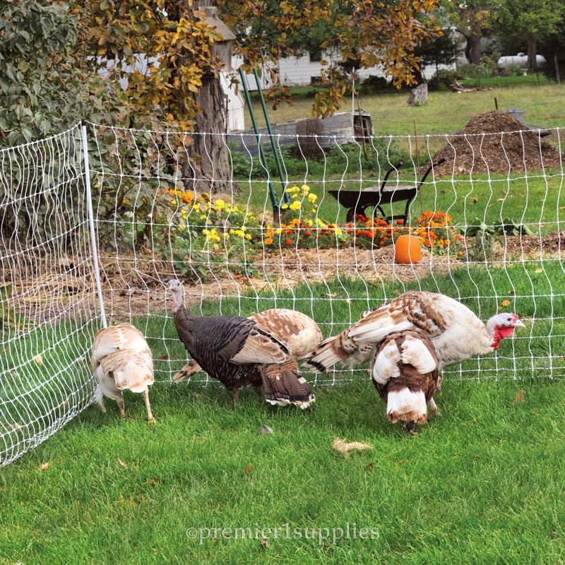 Premier 1 PoultryNet® Electric Fence for Chickens – 48"H x 164'L