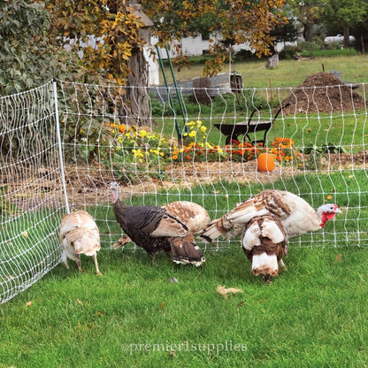 Premier 1 PoultryNet® Electric Fence for Chickens – 48"H x 164'L