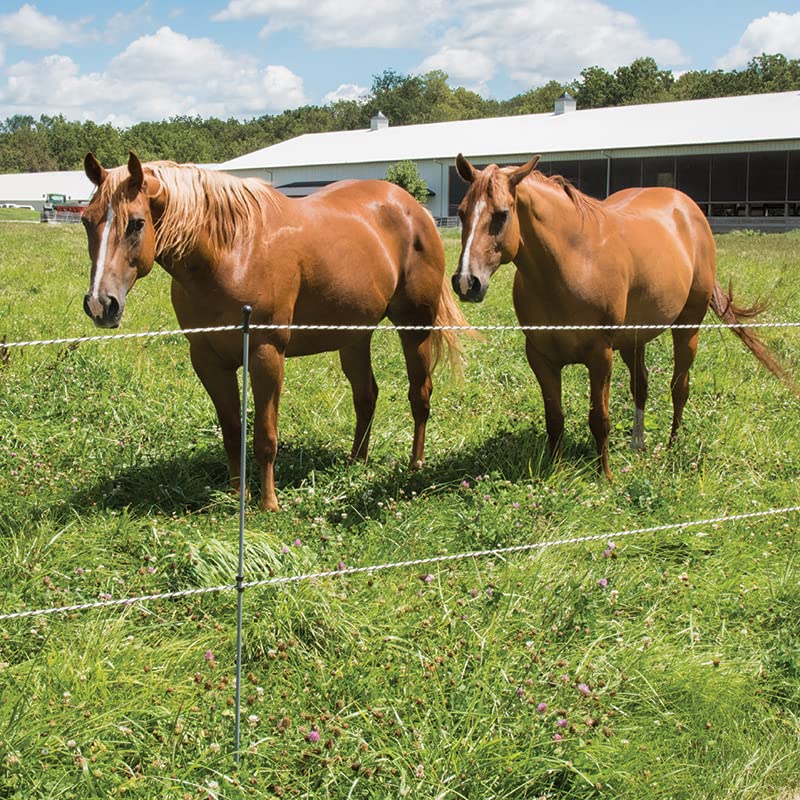 Premier 1 Step-in FiberRod Electric Fence Posts - 5 Pack (48" Tall) - style: 48" Tall