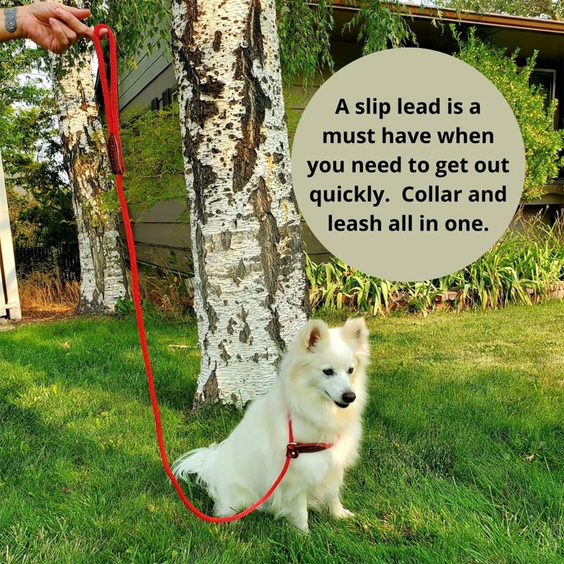 Pet Emergency Kit for Small Dog