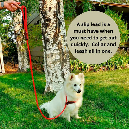 Pet Emergency Kit for Small Dog