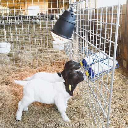 Premier 1 Bottle Rack for Lamb 'N' Goat Kid Bottles