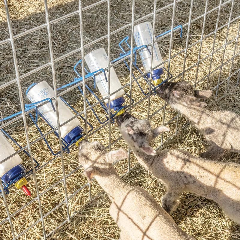 Premier 1 Lamb 'N' Goat Kid Wide-Mouth Bottle Kit – Pritchard Teat & Rack - style: Bottle, Pritchard Teat & Bottle Rack