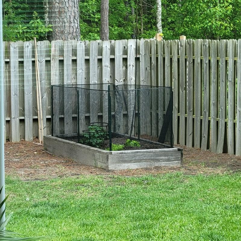 6 Feet Heavy Duty Metal Fence Post Black, Pack of 5, for Garden Wire Fence U-Channel Steel Garden Post Assemble - color: Black, size: 6',5 PCS