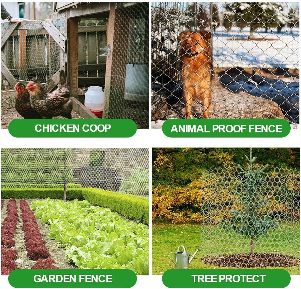 Amagabeli Chicken Wire Fencing 36inchx50ft Hexagonal Poultry Netting Galvanized Mesh Fence Chicken Netting Rabbits Pets Dog Cat Vegetable Garden fencing Barrier - size: 1" 36"x50'